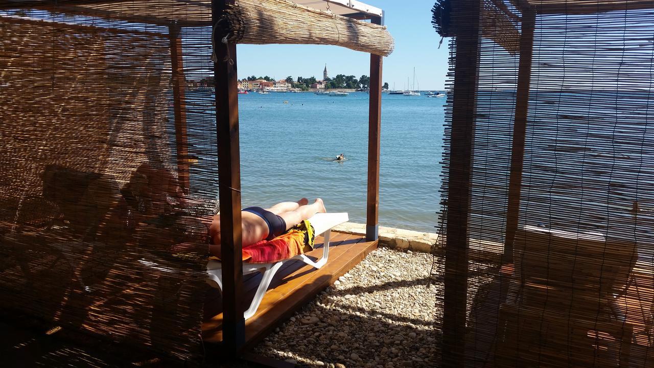 Apartments Daniela Novigrad Istria Eksteriør bilde